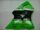 Loja Abs Carenagem Moto Kawasaki ZX6R 00-02 - Verde Preto