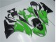 Loja Abs Kit Completos Carenagem Moto Kawasaki ZX6R 09-12 - Verde Preto