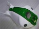 Loja Carenagem Moto Honda CBR 1000RR 04-05 - Verde Branco